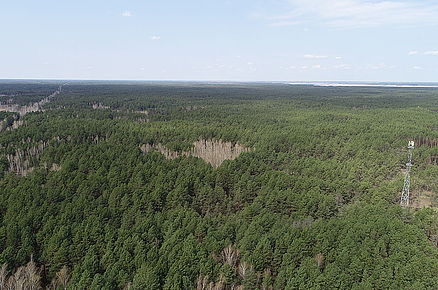 Краєвиди господарства